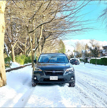 Load image into Gallery viewer, Custom Reverse Cut Windshield Sunshade Banner (One color)